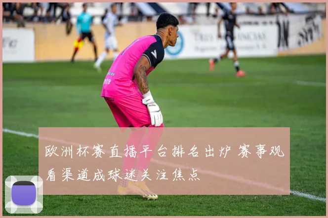欧洲杯赛直播平台排名出炉 赛事观看渠道成球迷关注焦点