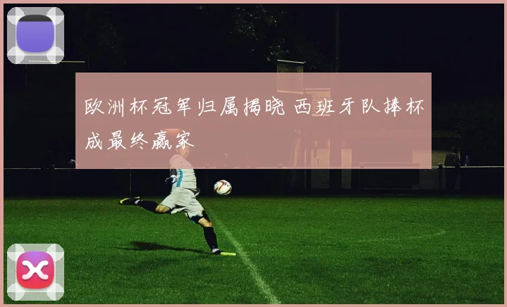 欧洲杯冠军归属揭晓 西班牙队捧杯成最终赢家
