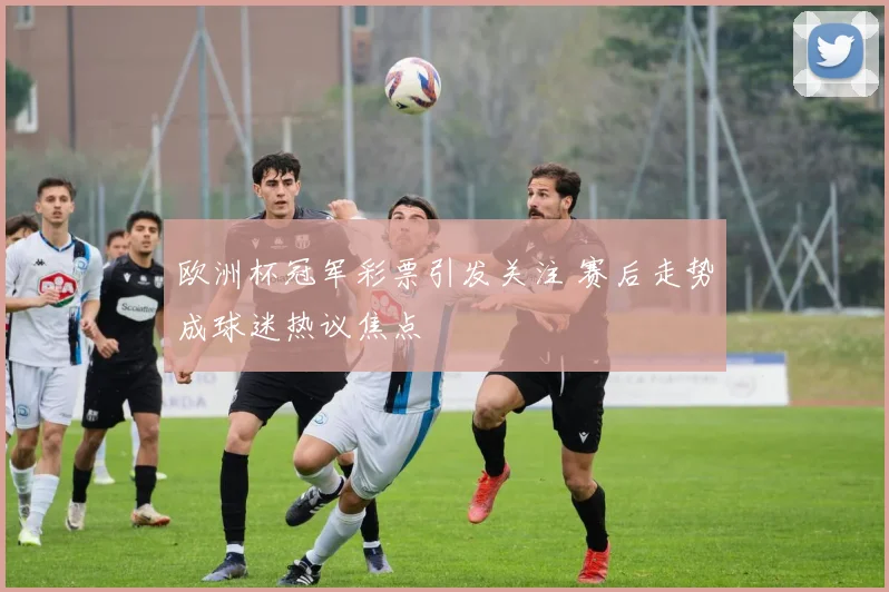 欧洲杯冠军彩票引发关注 赛后走势成球迷热议焦点