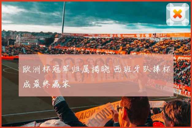 欧洲杯冠军归属揭晓 西班牙队捧杯成最终赢家