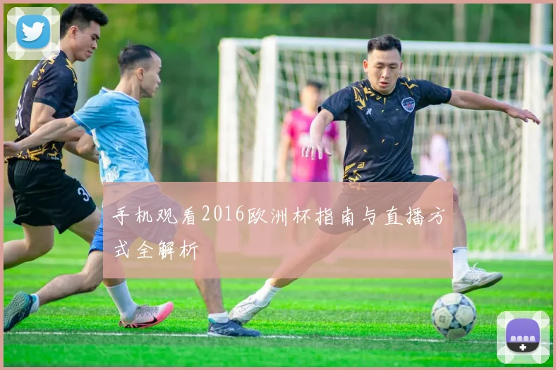 手机观看2016欧洲杯指南与直播方式全解析